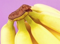 53 – Plátanos - ¿Dónde estaríamos sin el plátano? Un alimento casi perfecto, el plátano no sólo te quita el antojo de algo dulce (recuerda que la dieta de verano tiene que enseñarte hábitos que duren todo el año), sino que también es una de las mejores fuentes de potasio, que, según los expertos, ayuda a regular la pérdida de líquido cuando transpiramos.