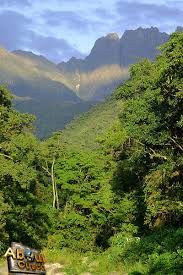 23 - De pronto distinguimos un inmenso manto verde de selva tropical, hasta el infinito, era el valle de Kosñipata.