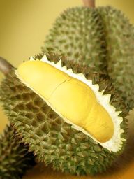Durian (sầu riêng) FRUTA DEL SURESTE DEL ASIA - Ampliamente conocida y reverenciada en el sureste de asia como el 